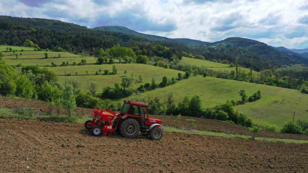 Boş kalan arazilerde üretim patlaması: Ordu’da tarım yeniden canlanıyor