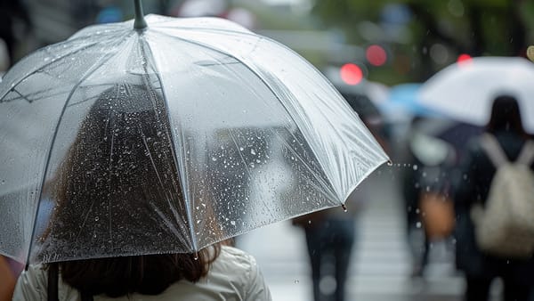 Meteoroloji uyardı: Giresun, Trabzon, Rize ve Artvin'de kuvvetli yağış riski!